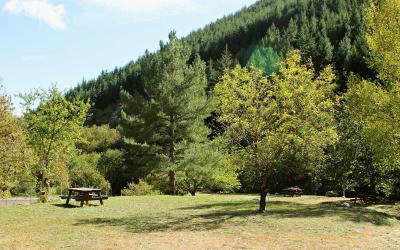 Appartement avec Terrasse (4 Adultes) Appartement avec Terrasse (4 Adultes)