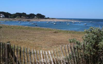 Appartement - Rez-de-Chaussu00e9e