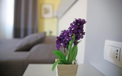 Appartamento con 2 Camere da Letto