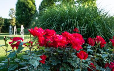 Camera Quadrupla con Vista Giardino 