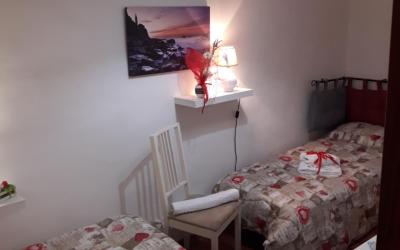 Camera Doppia con Letti Singoli con Bagno Privato 