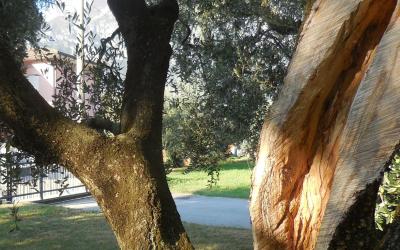Appartamento Appartamento