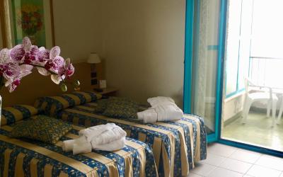 Ampia Camera Matrimoniale/Doppia con Letti Singoli