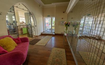 Single Room