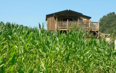 Cottage 2 Chambres 
