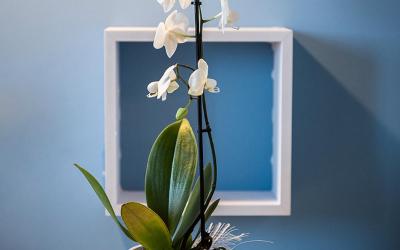 Camera Matrimoniale con Vista Mare 