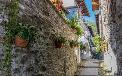 Appartamento con 1 Camera da Letto