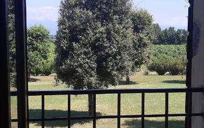 Camera Matrimoniale - 1u00b0 Piano