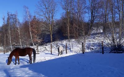Appartement 2 Chambres