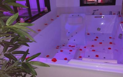 Appartement 1 Chambre