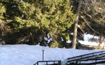 Appartamento con 1 Camera da Letto