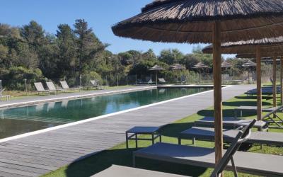 Studio (2-3 Adultes)  Studio (2-3 Adultes)