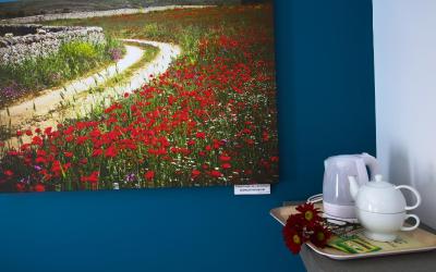 Camera Matrimoniale Deluxe con Doccia