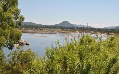 Chambre Double Supu00e9rieure (Cu00f4tu00e9 Piscine) Chambre Double Supu00e9rieure (Cu00f4tu00e9 Piscine)