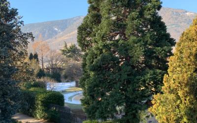 Appartamento con 1 Camera da Letto