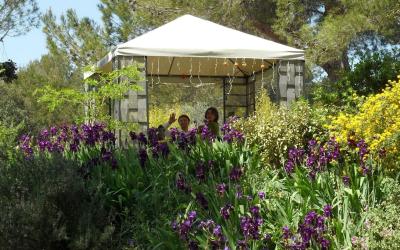 Grande Chambre Double 