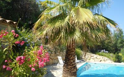 Chambre Double - Vue sur Piscine