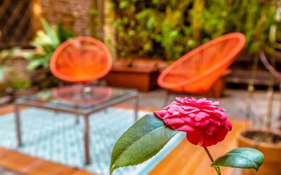 Comfort Junior Suite con Giardino Privato