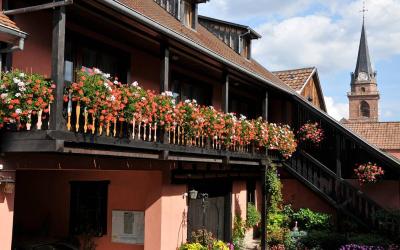 Appartement 1 Chambre