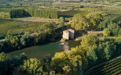 Le Moulin u2013 rez-de-chaussu00e9e (2 chambres) Le Moulin u2013 rez-de-chaussu00e9e (2 chambres)