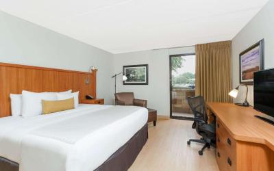 Accessible King Bed
