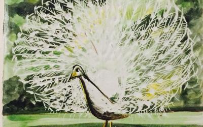 Monolocale Matrimoniale Deluxe