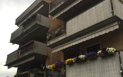 Camera Singola Standard con Doccia