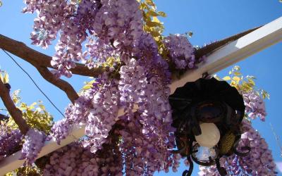 Villa con 2 Camere da Letto