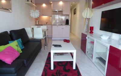 Appartement 1 Chambre