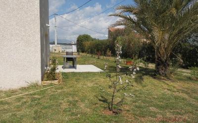 Appartement - Rez-de-Chaussu00e9e Appartement - Rez-de-Chaussu00e9e