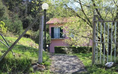 Camera Matrimoniale con Bagno Privato