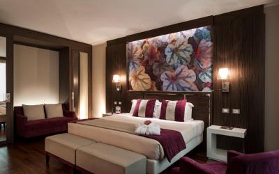 Camera Executive Matrimoniale/Doppia con Letti singoli