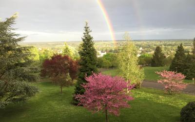 Appartement - Vue sur Jardin