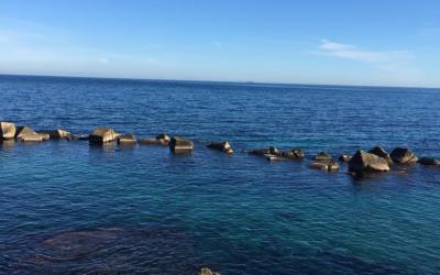 Appartamento Monolocale