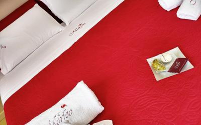 Camera Matrimoniale Deluxe (2 Adulti + 1 Bambino) 