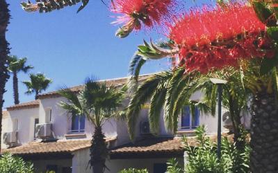 Appartement en Duplex