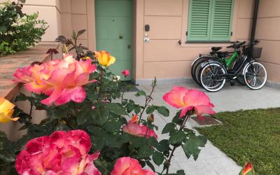 Appartamento con 1 Camera da Letto