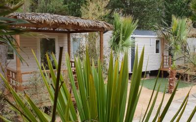 Mobile Home Mobile Home