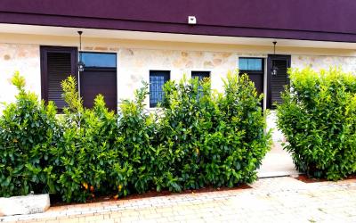 Appartamento 