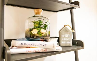 Suite Junior Suite Junior