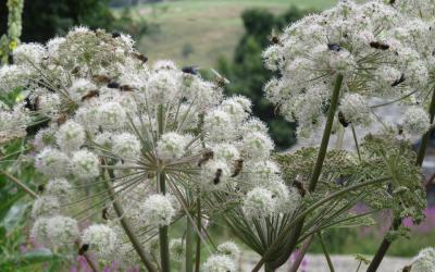 Chambre Double ou Lits Jumeaux Chambre Double ou Lits Jumeaux