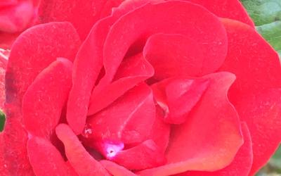 Chambre Triple avec Salle de Bains Privative Chambre Triple avec Salle de Bains Privative