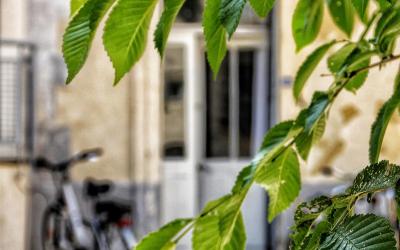 Appartement Appartement