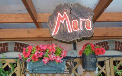 Appartamento - Piano Terra