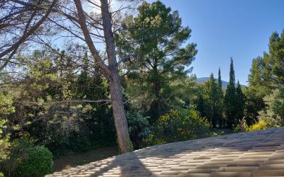 Chambre Lits Jumeaux