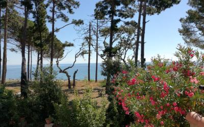 Villa - Cu00f4tu00e9 Plage