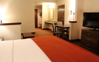 King Room with Roll In Shower - Non-Smoking
