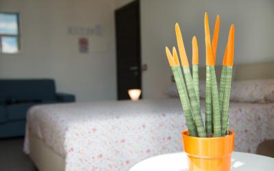 Camera Matrimoniale Superior