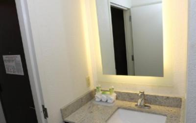 King Room with Hearing Accessible Roll In Shower - Non-Smoking