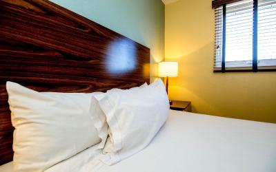 Pool View Suite with Queen Bed
